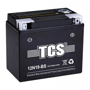 TCS摩托车密封式免维护电池12N19-BS