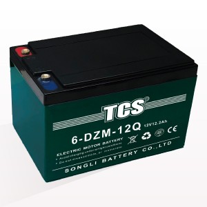 TCS电动车电池6-DZM-12Q