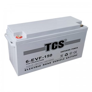 TCS电动门路车电池6-EVF-150