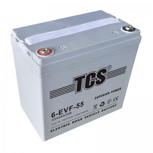 TCS电动门路车电池6-EVF-55