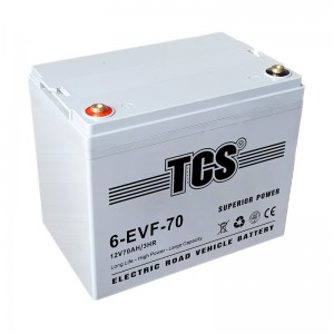 TCS电动门路车电池6-EVF-70