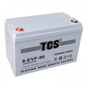 TCS电动门路车电池6-EVF-90