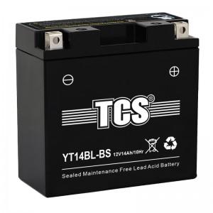 TCS摩托车密封式免维护电池YT14BL-BS