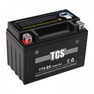 TCS摩托车密封式免维护电池YT9-BS