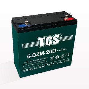 TCS电动车电池6-DZM-20D