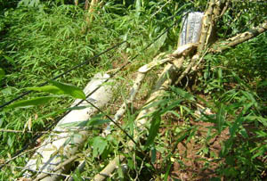 888电子游戏(中国集团)有限公司官网