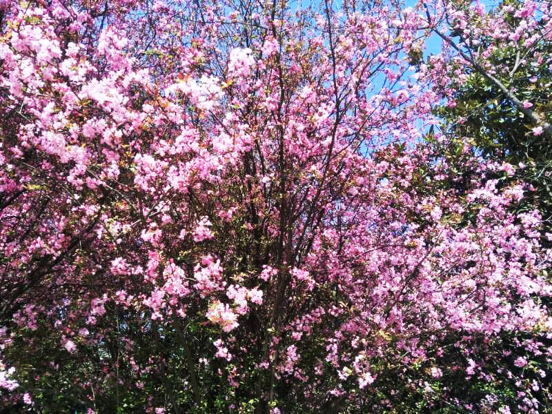 888电子游戏(中国集团)有限公司官网