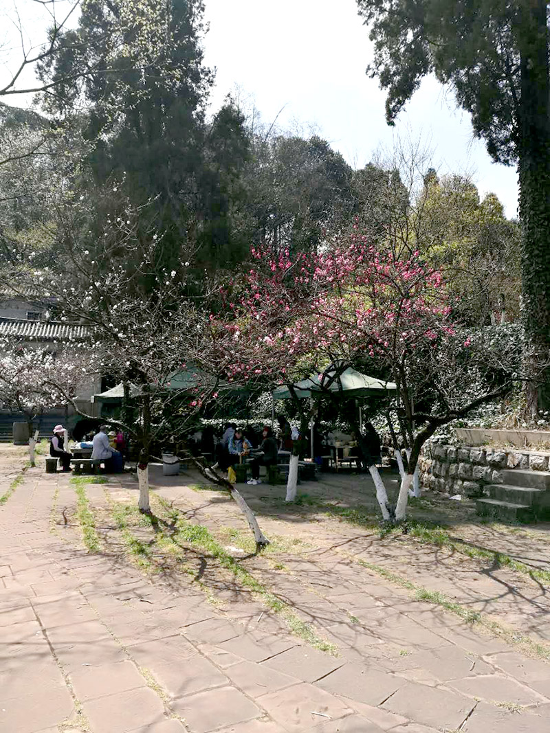 888电子游戏(中国集团)有限公司官网