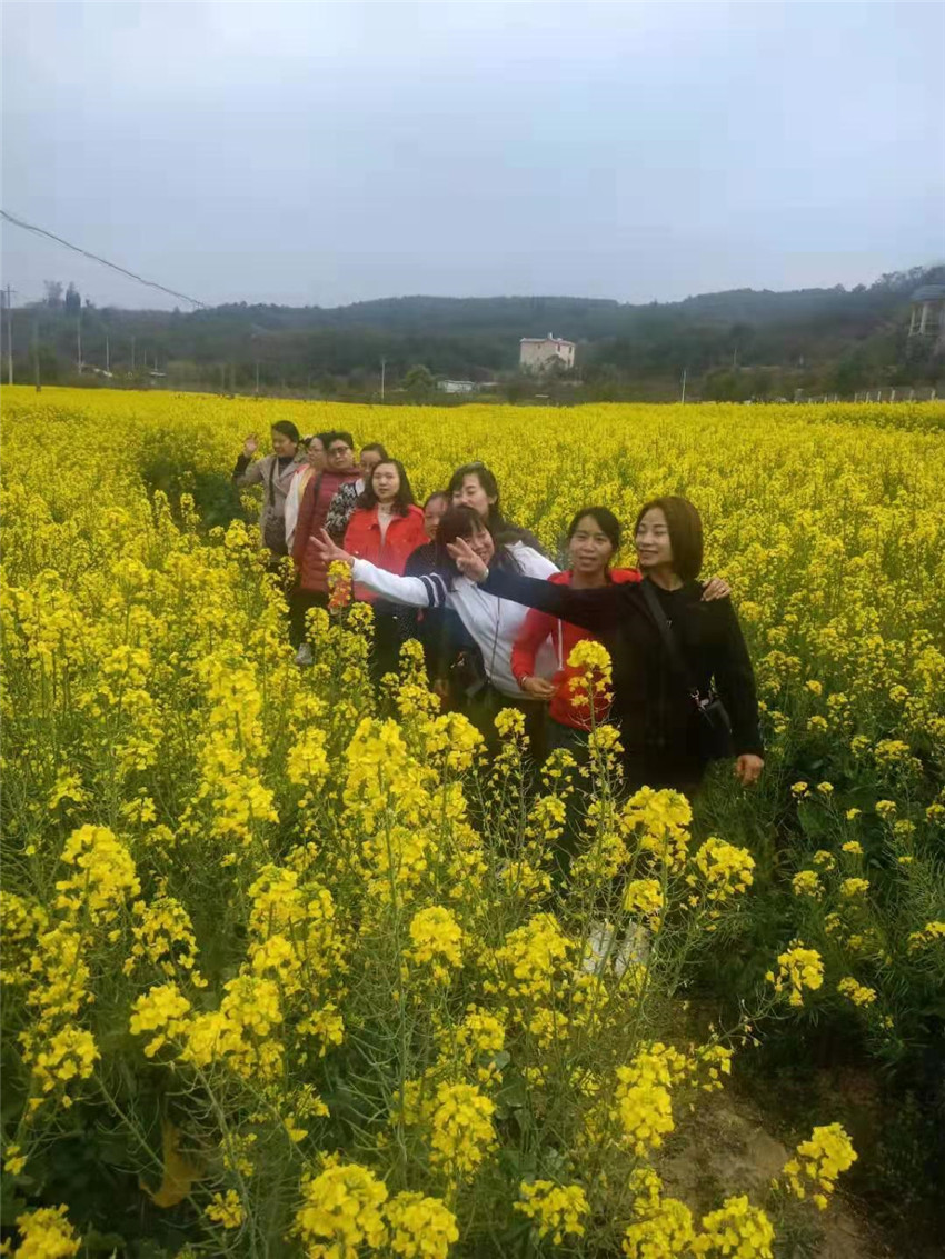 888电子游戏(中国集团)有限公司官网