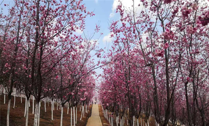 888电子游戏(中国集团)有限公司官网